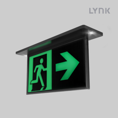 Razor 24M Black Lynk